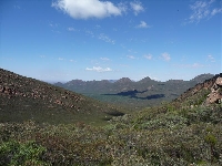 image_85